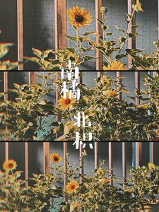 南橘北枳